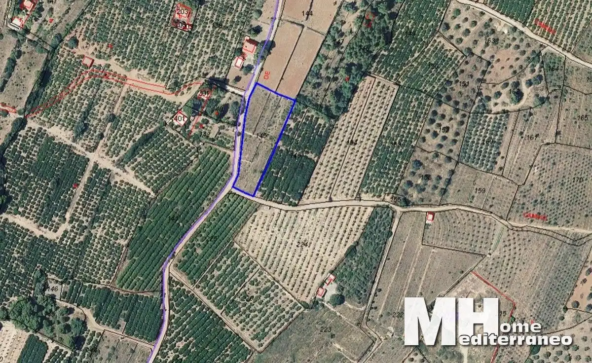 Terreno rustico in vendita a Llano de Arguinas, Pol. 27, Parc. 145, imagen 4