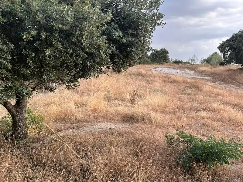 Terreni e lotti in vendita a San Martín de Valdeiglesias, imagen 4
