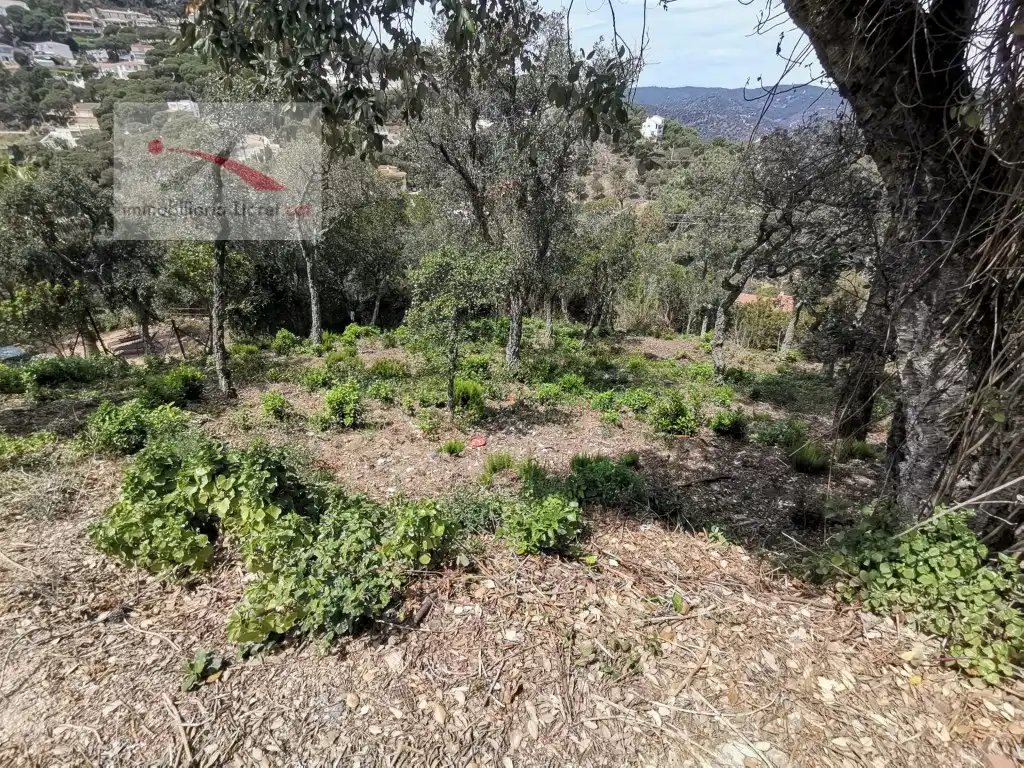 Terreno residencial en venta en Calle Avets 7, imagen 4