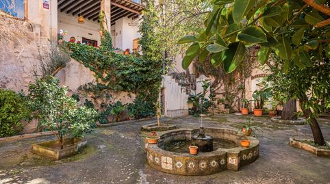 Photo 2 of Apartments for sale in Sant Nicolau, Palma de Mallorca