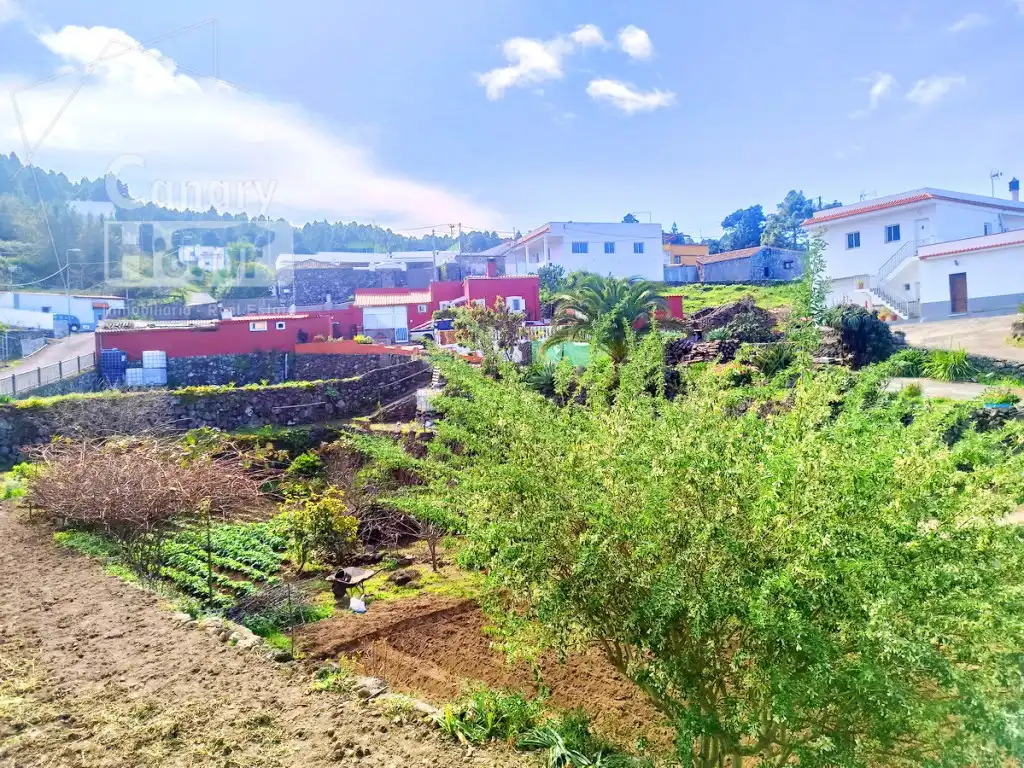Vista exterior de Casa o chalet en venta en Garachico con Jardín privado, Terraza y Amueblado