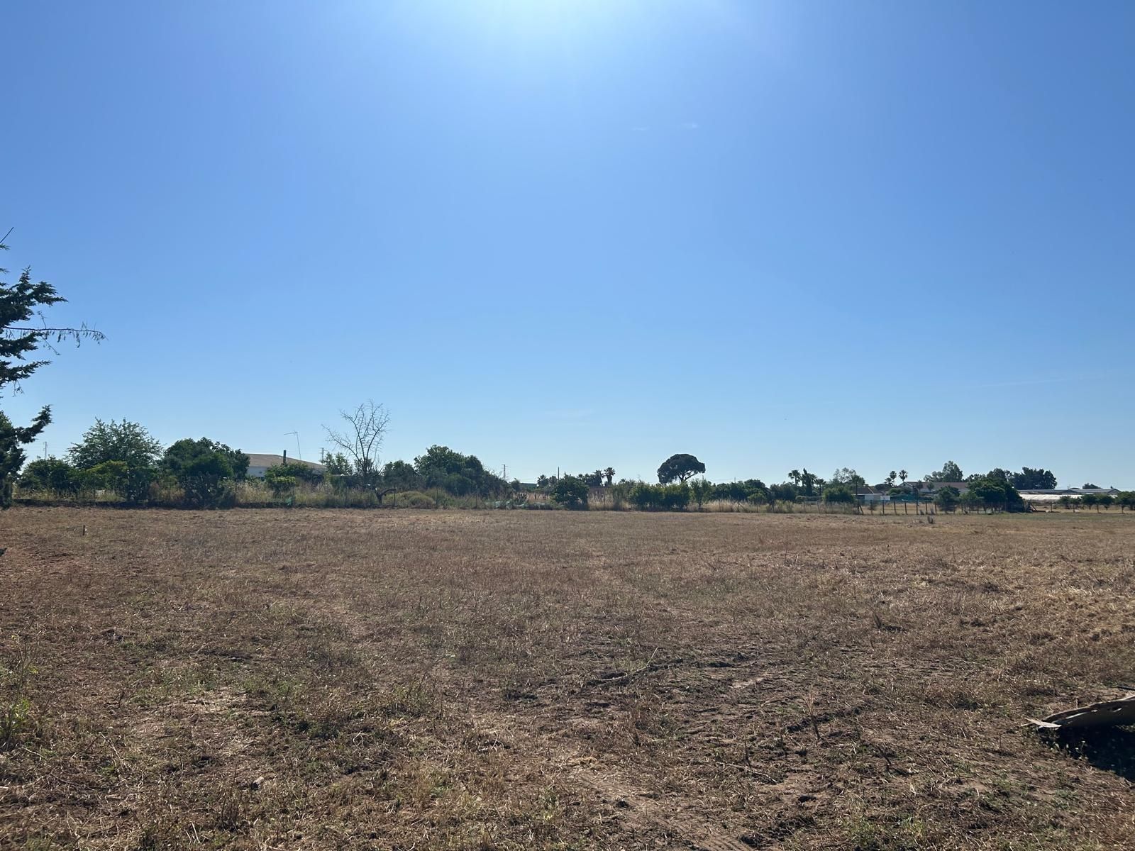 Grundstücke zum verkauf in Los Palacios y Villafranca