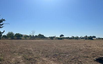 Land for sale in Los Palacios y Villafranca