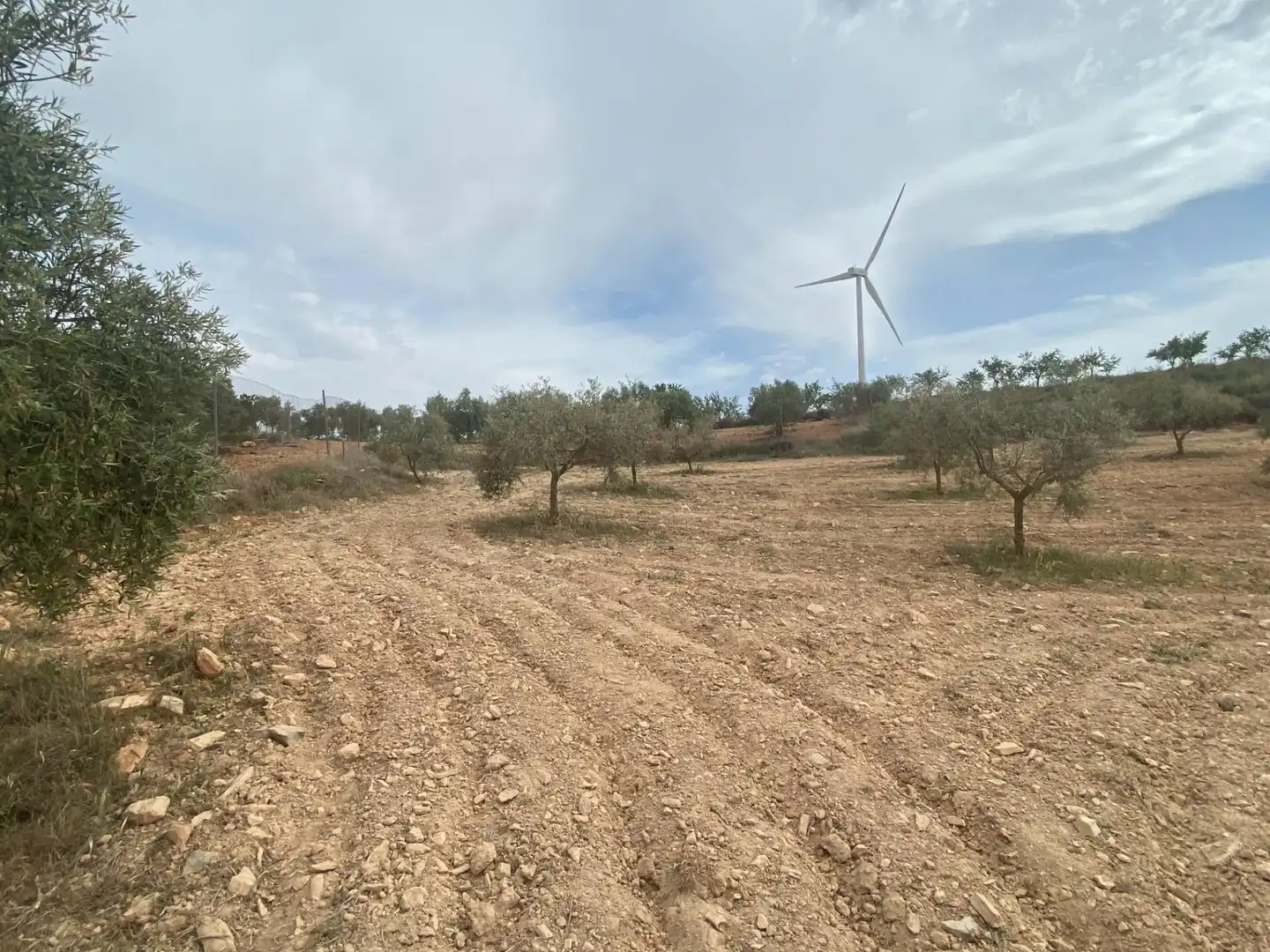 Rustikales Grundstück zum Verkauf in Polígono Polígono 16 Parcela 646 CAÑADA DE ZALDIVAR. PADU, imagen 5
