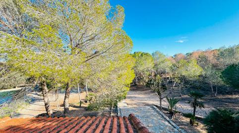 Foto 3 de Finca rústica de alquiler en Garbanzuelo, Los Balcones - Los Altos, Alicante
