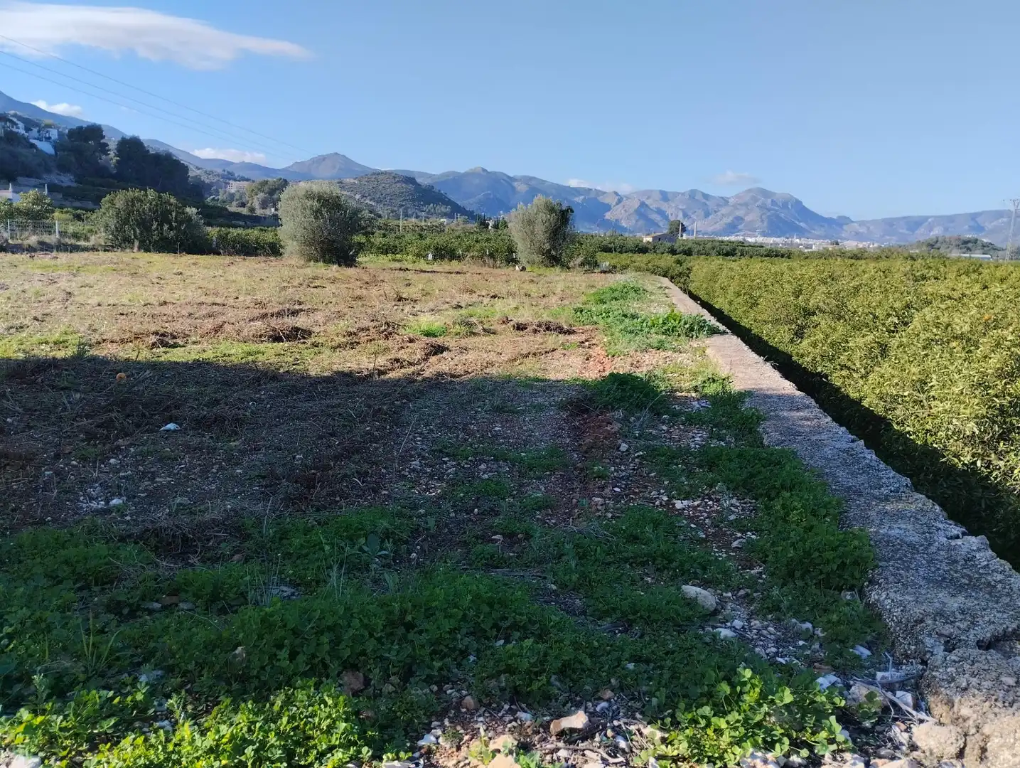 Finca rústica en venta en La Vall d'Ebo