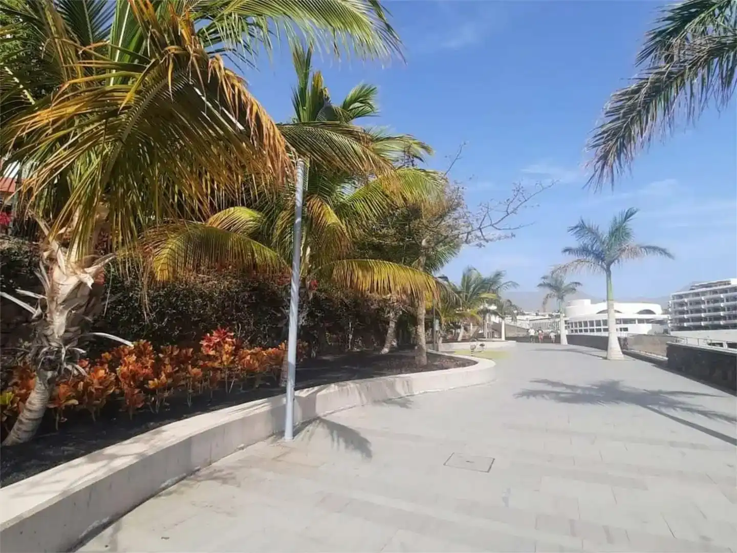 Vista exterior de Apartament en venda en Adeje amb Aire condicionat, Piscina i Balcó