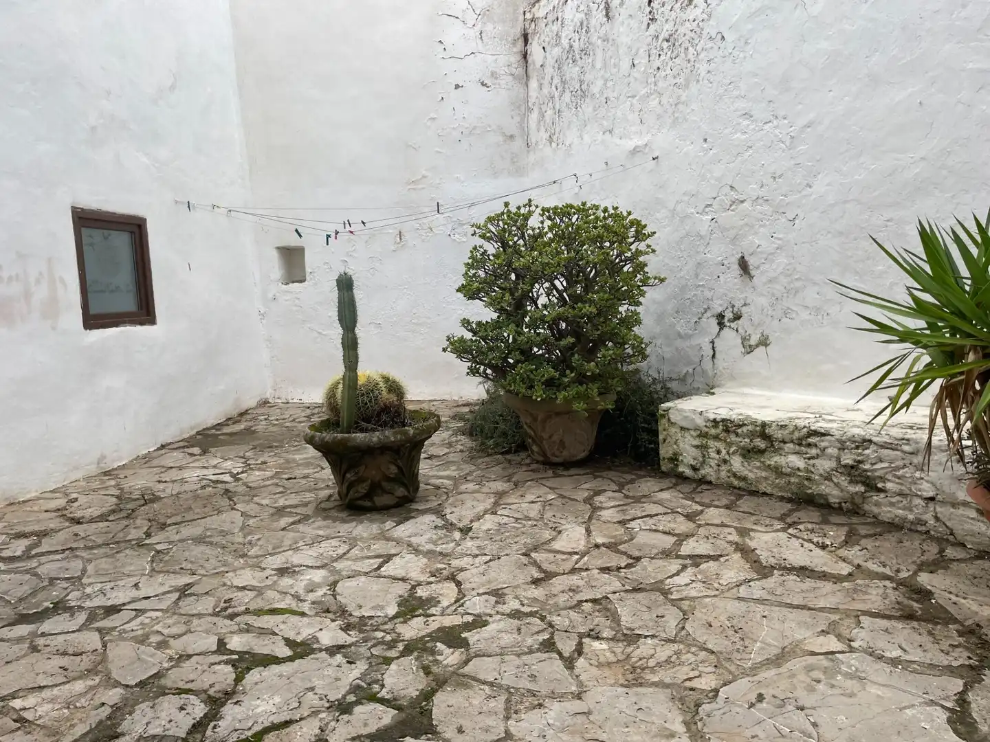 Jardín de Casa o chalet en venta en Tarifa con Terraza