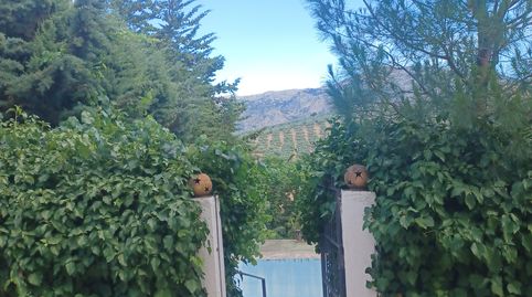 Foto 5 de Finca rústica en venta en Villanueva del Rosario, Málaga