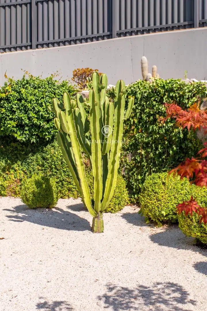 Maison avec terrasse à vendre à Can Quirze, imagen 48