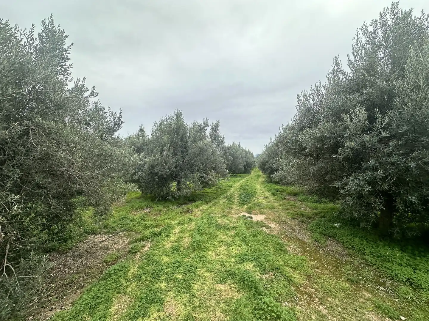 Wohnbaugrundstück zum Verkauf in Petrés, imagen 43