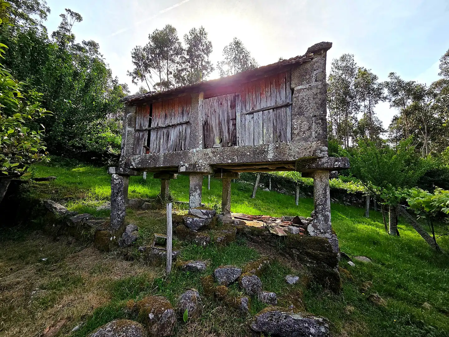 Vista exterior de Finca rústica en venta en Meis con Jardín privado y Terraza