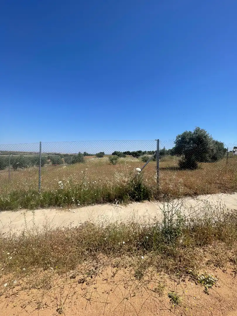Terreny residencial en venda a Solana de los Barros, imagen 11