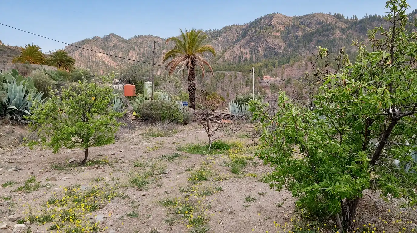 Finca rústica en venda en San Bartolomé de Tirajana amb Jardí privat