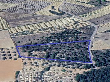 Terreni e lotti in vendita a Les Coves de Vinromà
