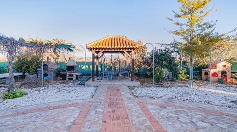 Photo 5 of House or chalet for sale in Camino 18340, Fuente Vaqueros, Granada