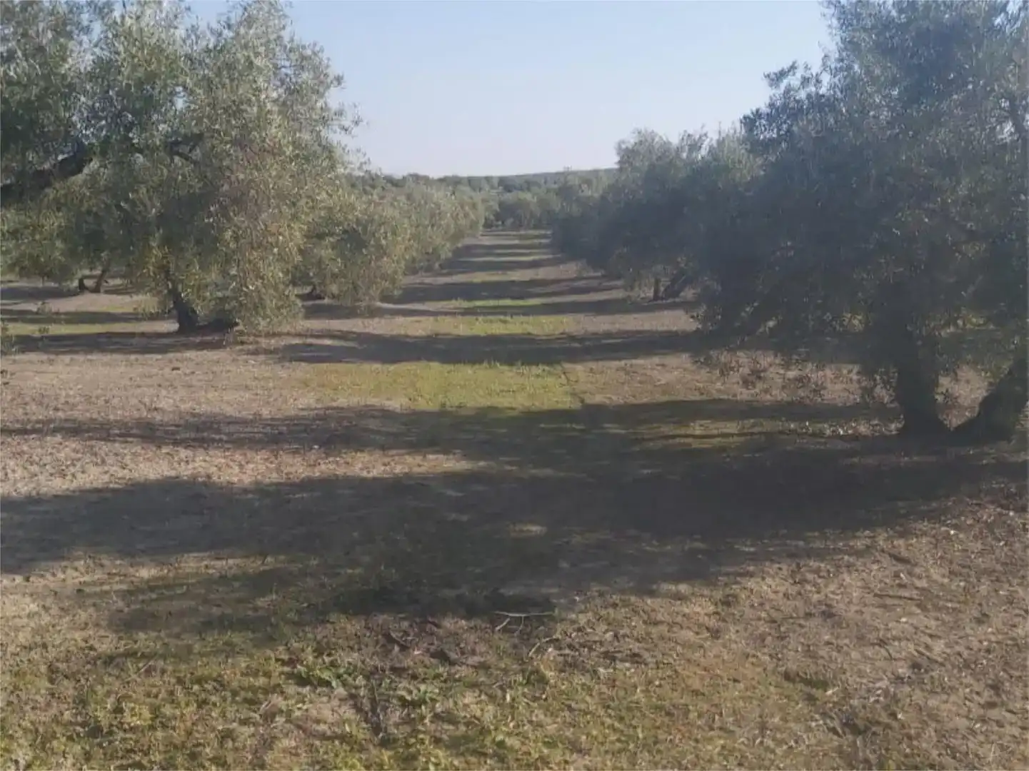 Terreno en venta en Arjona