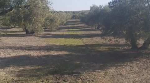 Foto 3 de Terreny en venda a Calle Arrabal San Martín, 2, Arjona, Jaén