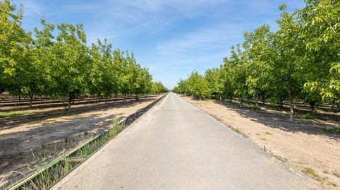 Finca Rústica en Venta  Vega Norte de Granada, imatge 3