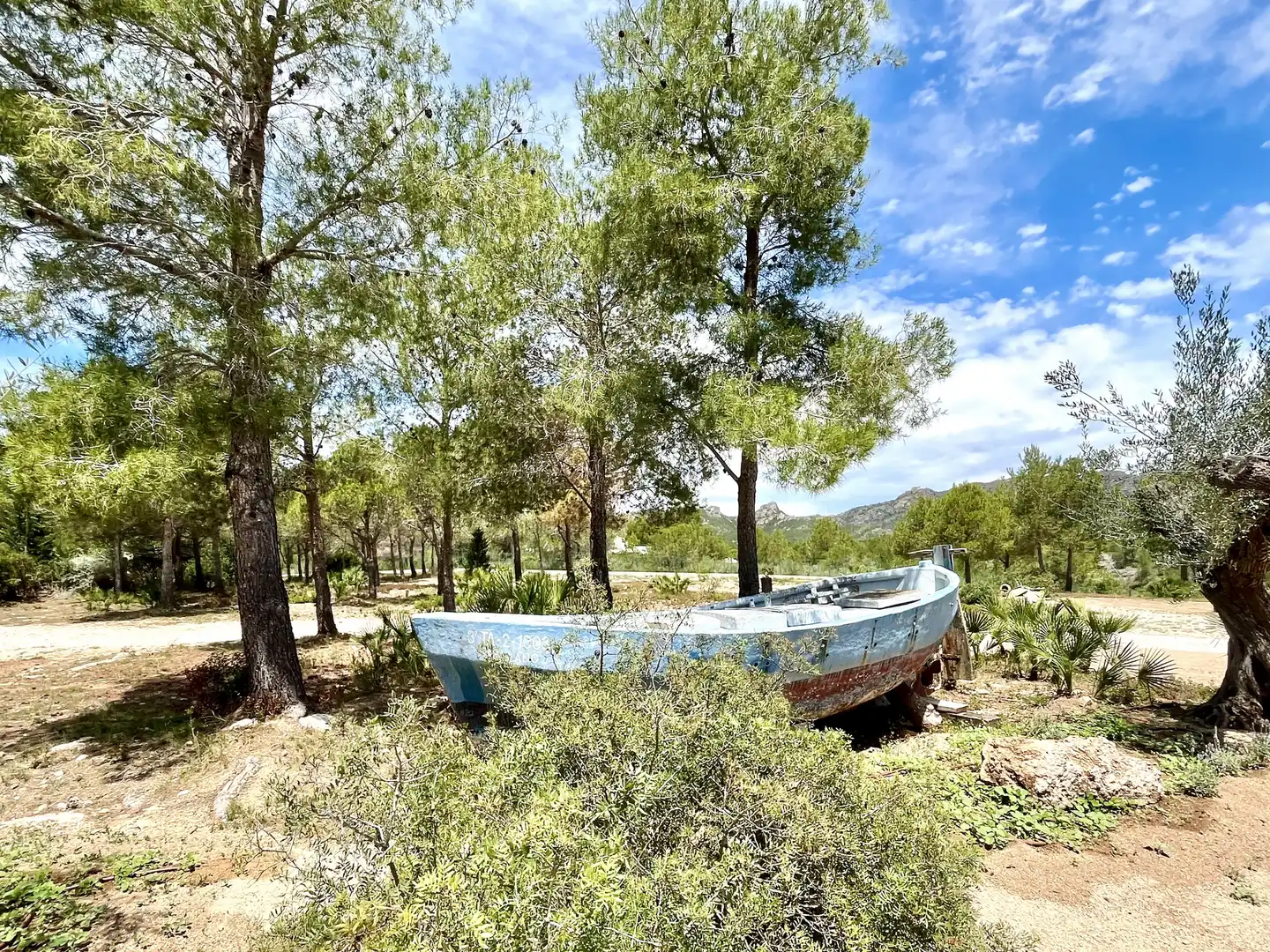 Villa avec terrasse à vendre à Sant Jordi d'Alfama, imagen 4
