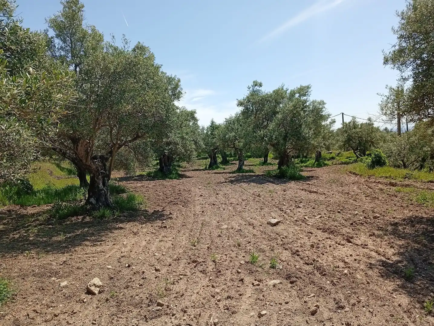 Terreni e lotti in vendita a Villanueva de la Vera, imagen 8