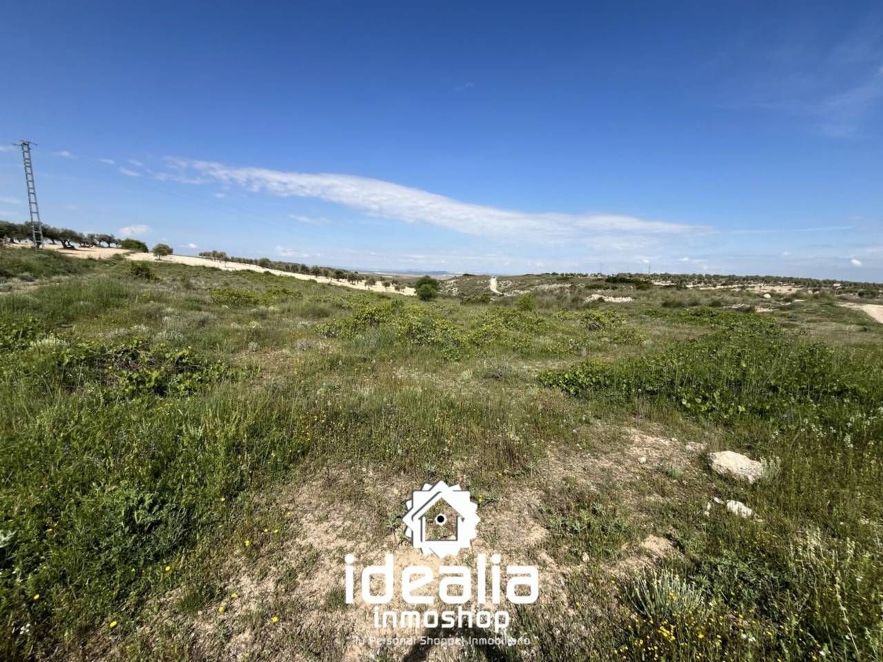 Land for sale in Ciruelos
