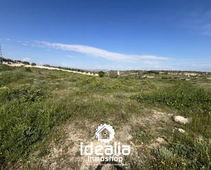 Land for sale in Ciruelos