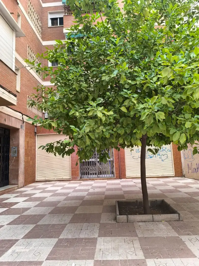 Vista exterior de Pis de lloguer en Granada amb Aire condicionat, Calefacció i Moblat