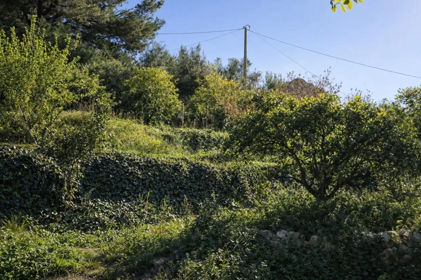 Terreno rústico en venta en Benimeli, imagen 13