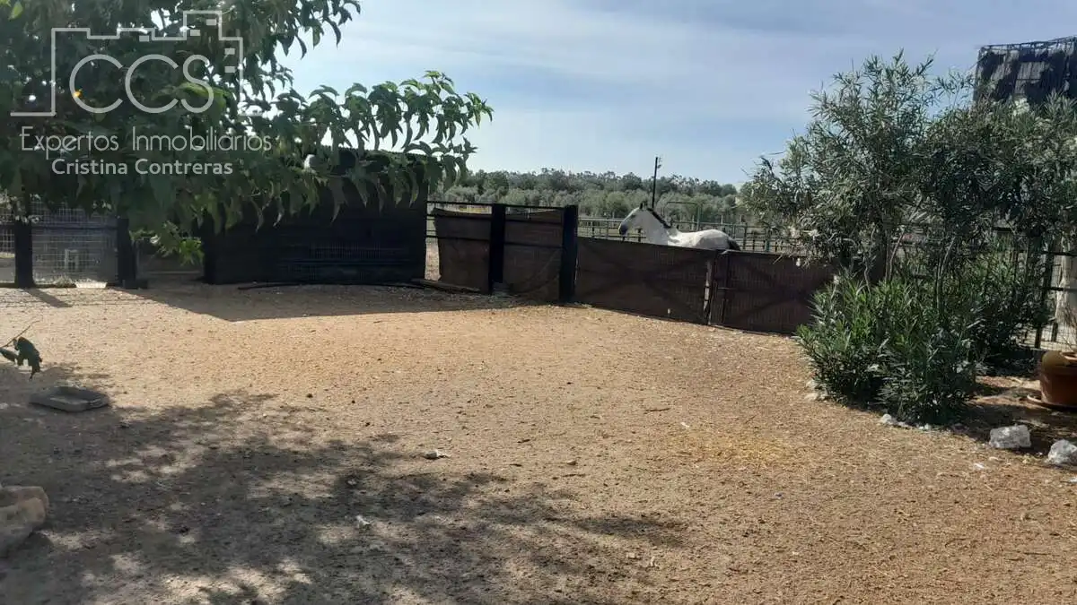 Casa rústica amb jardí en venda a Almonte ciudad, imagen 31