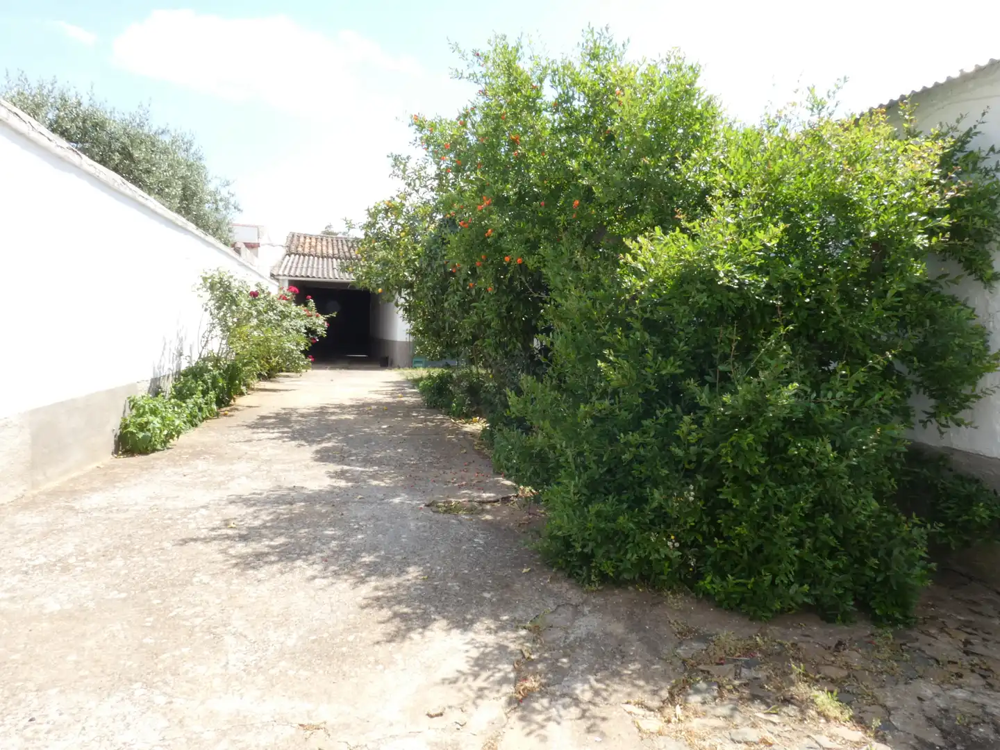 Casa en venta en Granja de Torrehermosa, imagen 16