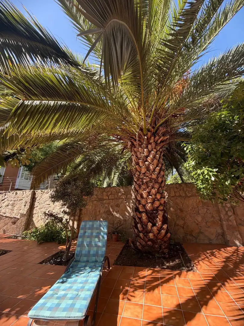 Jardí de Casa o xalet en venda en Madrid amb Aire condicionat, Calefacció i Jardí privat