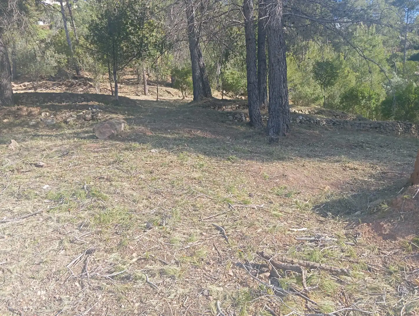 Residencial en venta en Pallejà