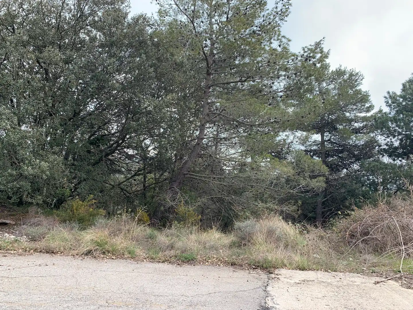 Residencial en venda en Mont-ral