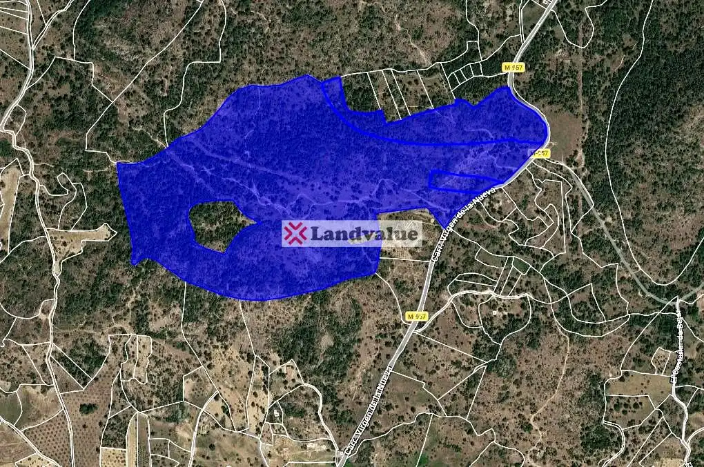 Rural land for sale in Virgen De La Nueva