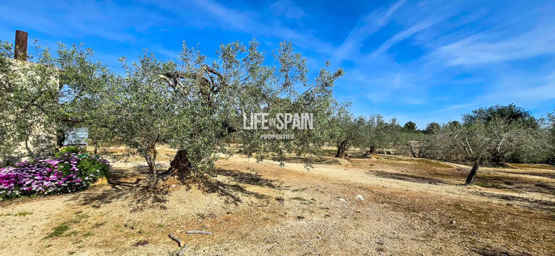 Villa à vendre à Carrer Poligono 78 43, imagen 37