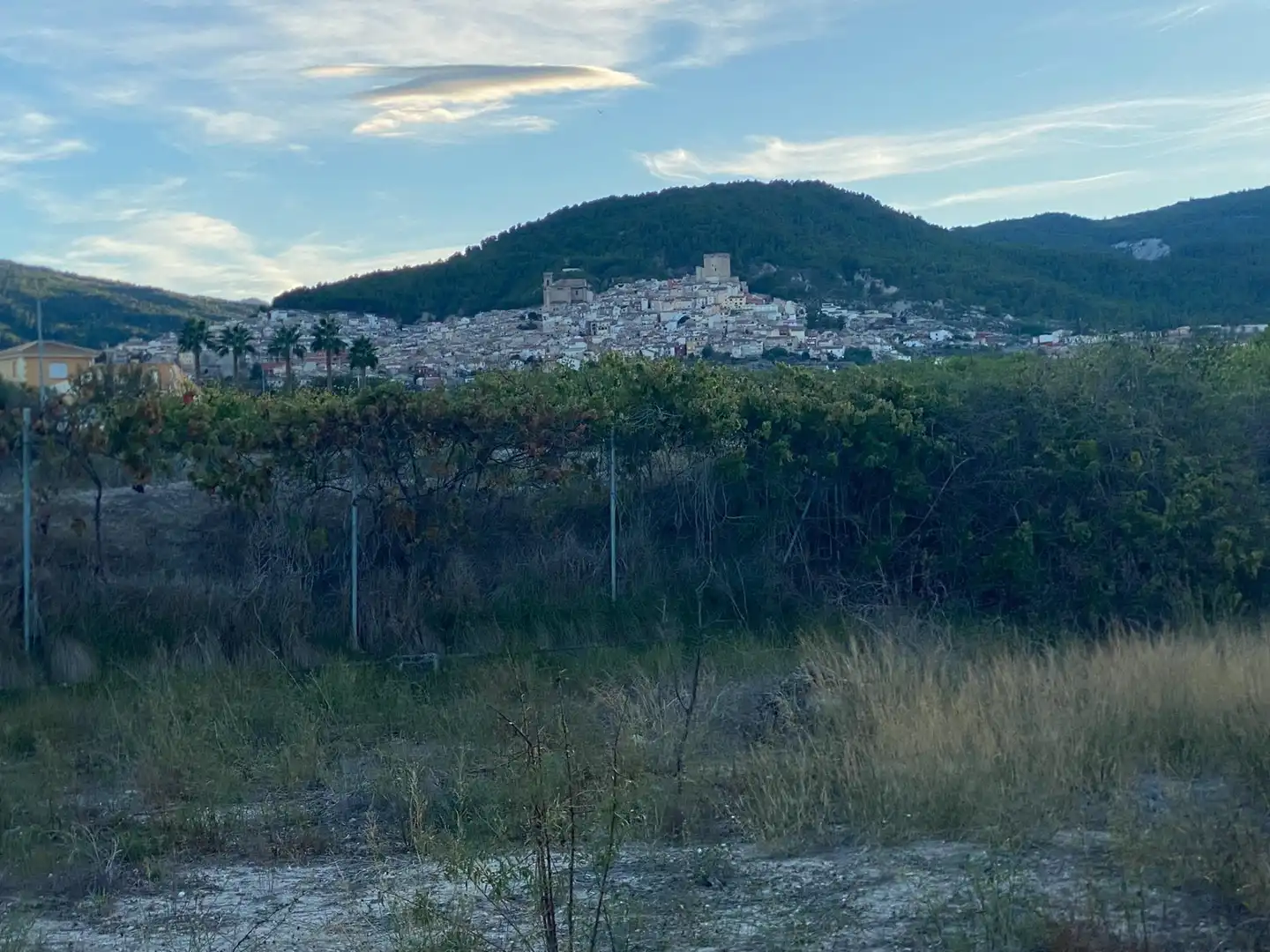 Terreno residenziale in vendita a Moratalla, imagen 17