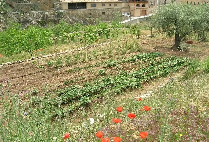 Jardín de Finca rústica en venta en La Vilella Baixa