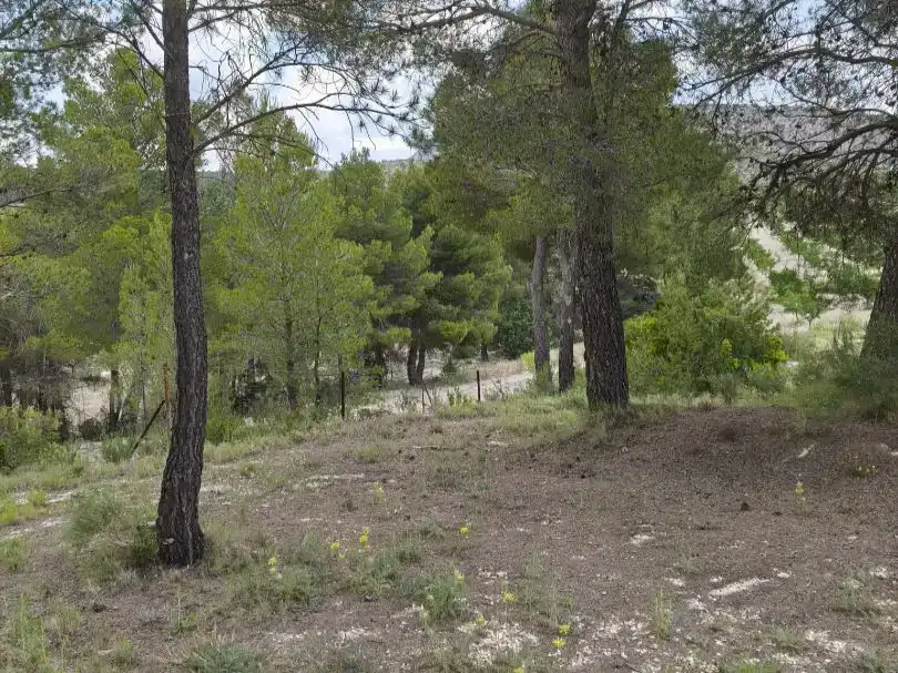 Casa o xalet en venda en Huéscar amb Jardí privat, Piscina i Moblat