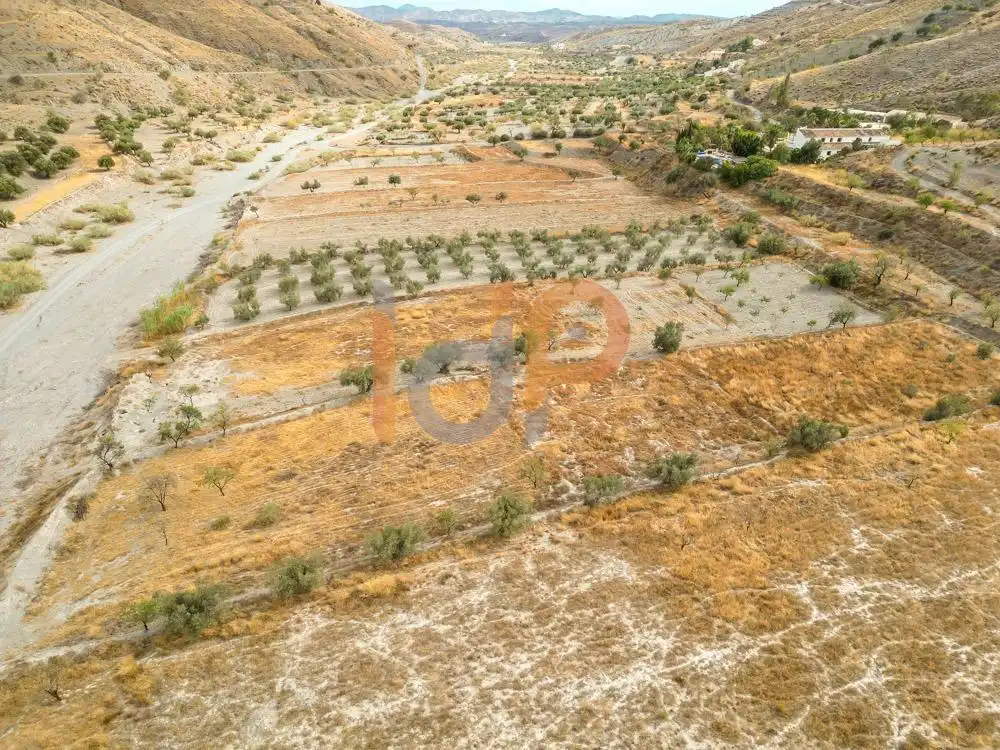 Terreny rústic en venda a Albox, imagen 4