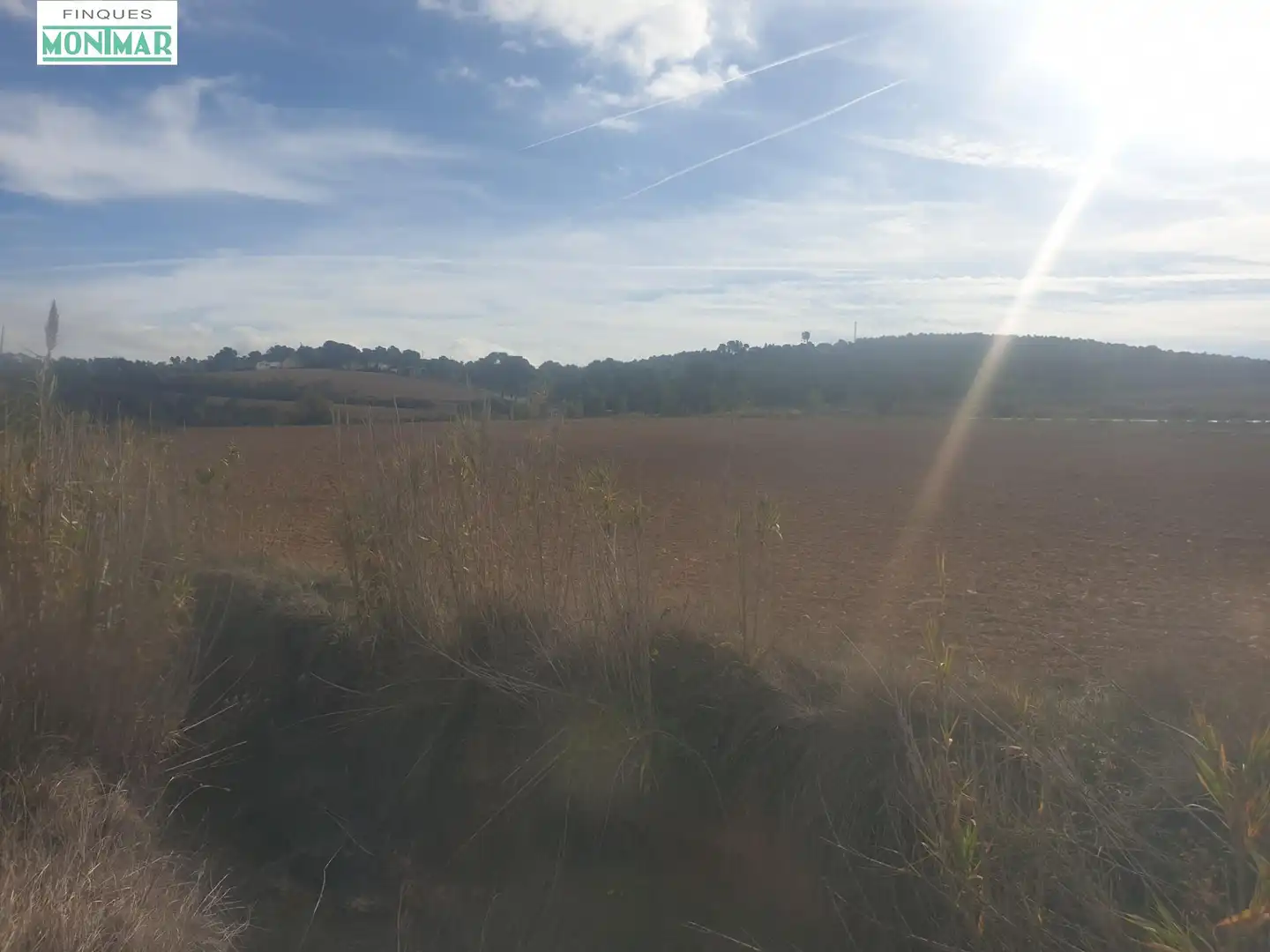 Finca rústica en venda en Vilafranca del Penedès