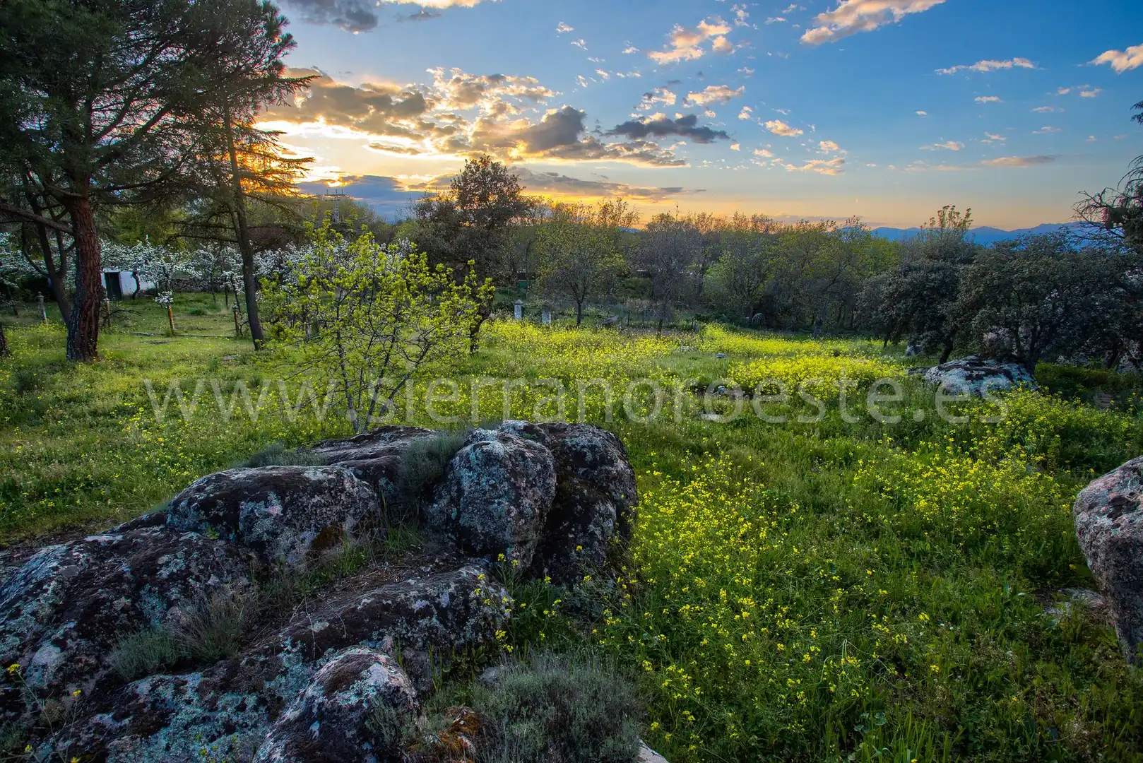 Casa o chalet en venta en Puerto de Galapagar - Las Cuestas