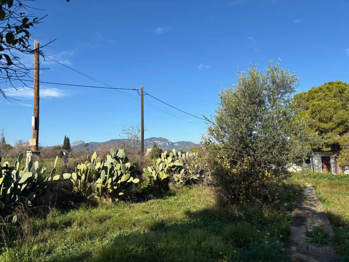 Residential zum Verkauf in  Palma de Mallorca