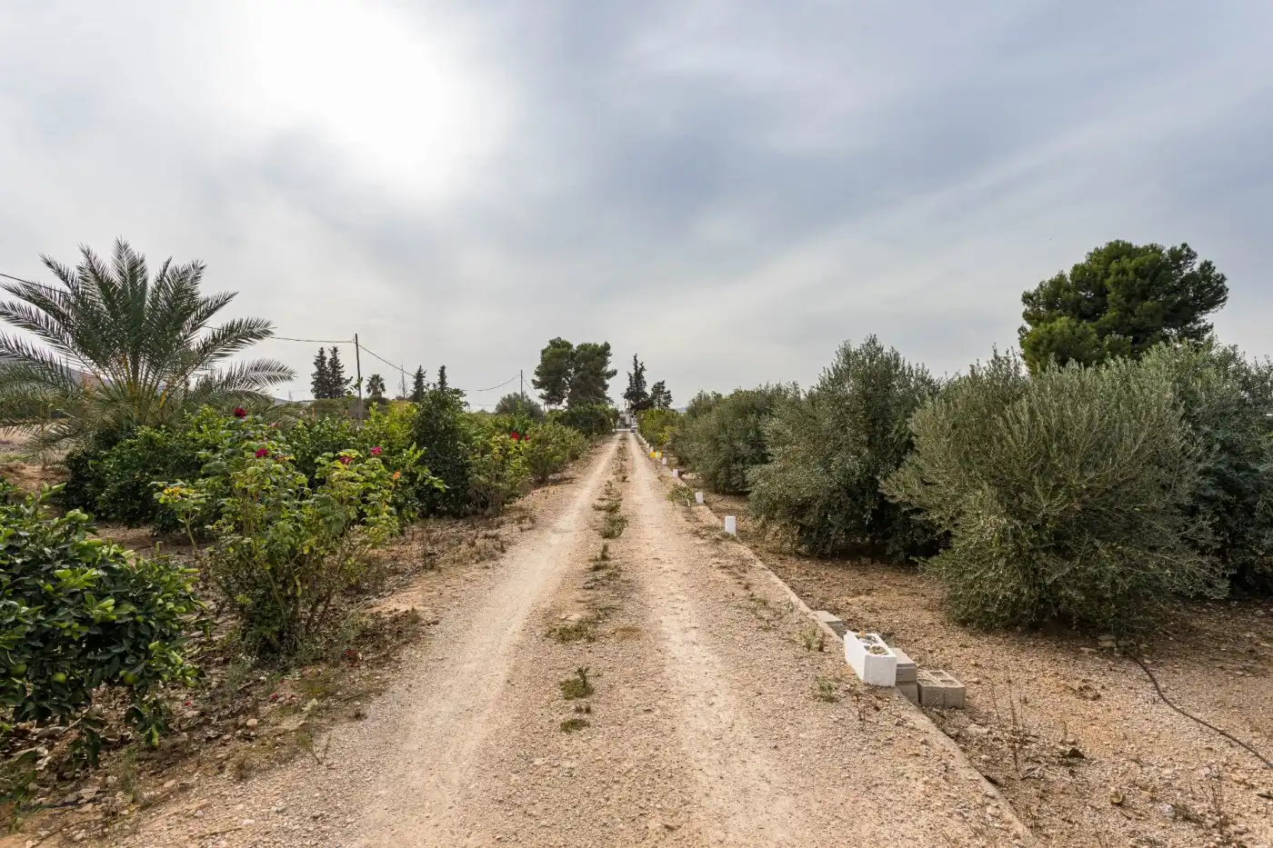 Casa o xalet en venda en Orihuela amb Jardí privat, Traster i Piscina