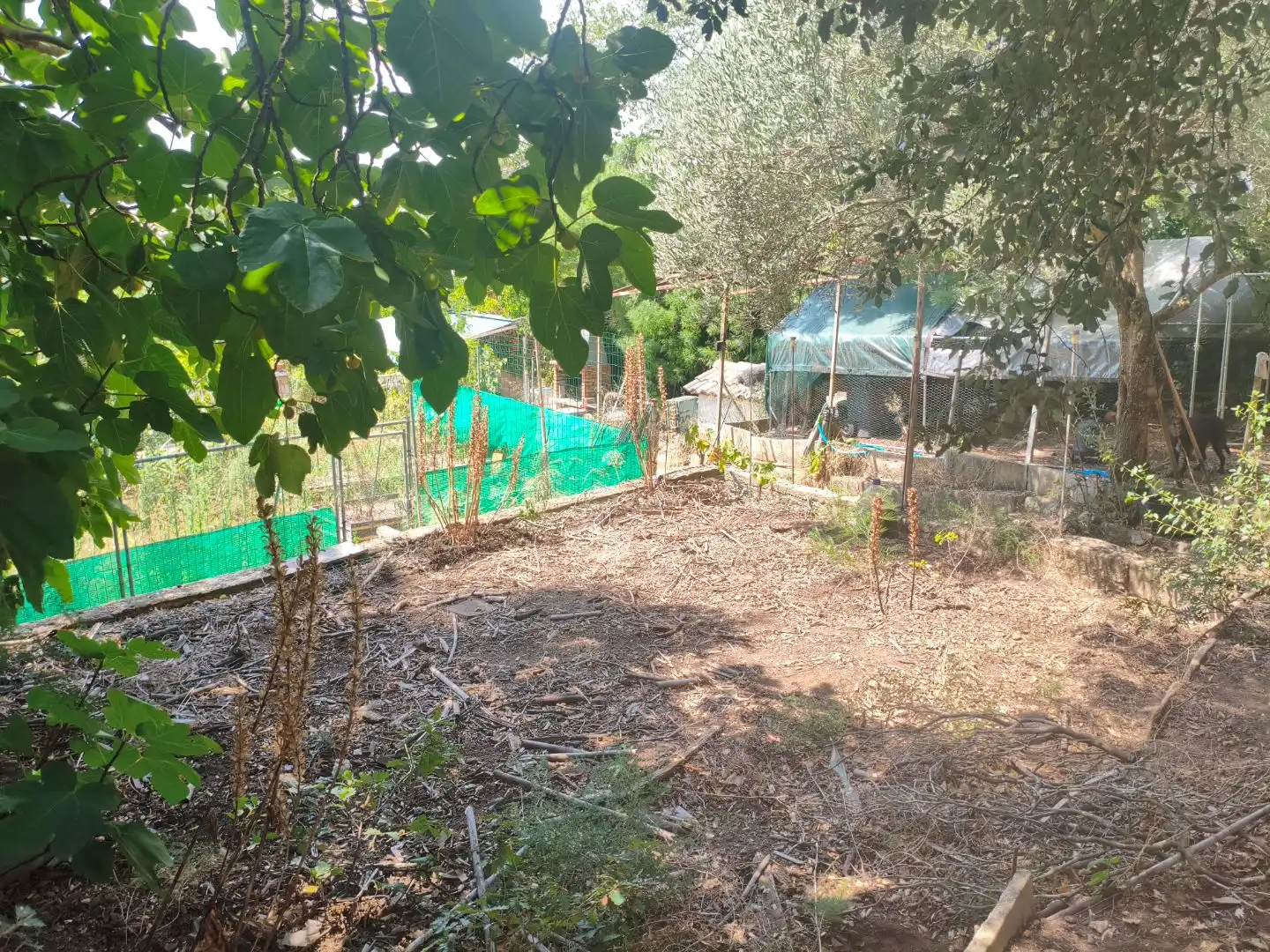 Villa avec piscine à vendre à AV ARBRES 1, imagen 43