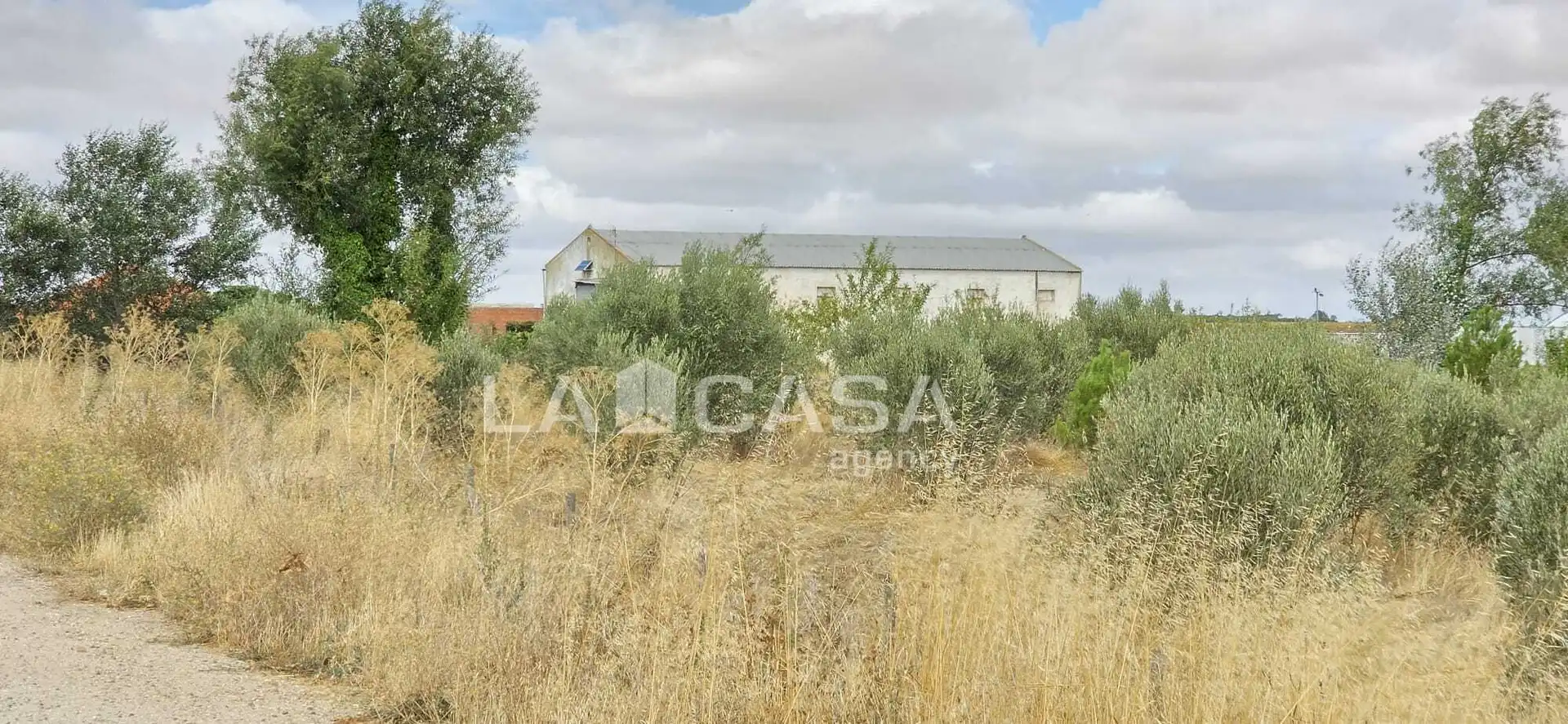 Residencial en venta en Meneses de Campos, Palencia