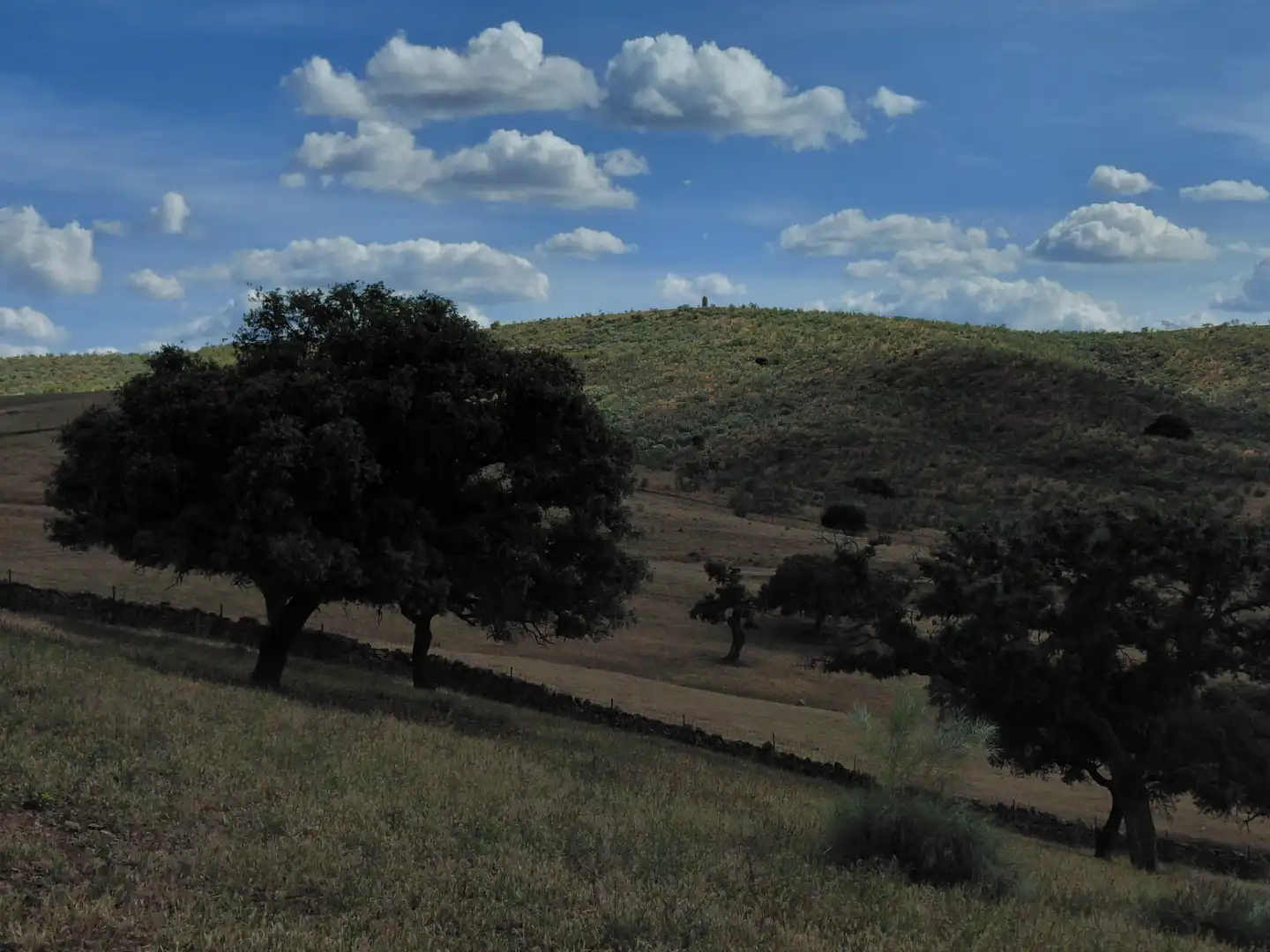 Finca rústica en venda en Fuente de Cantos amb Jardí privat, Forn i Rentadora