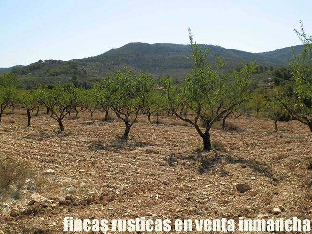 Terreno en Venta en Jijona / Xixona