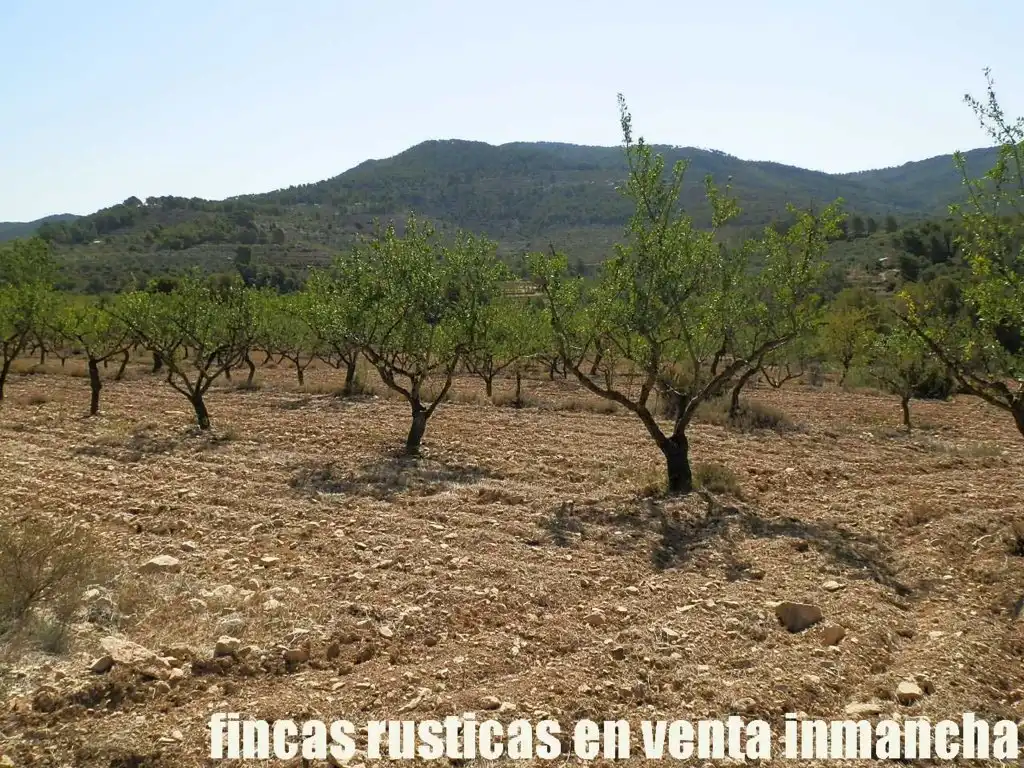 Terreny rústic en venda a Jijona / Xixona