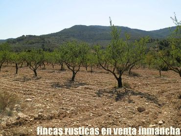 Terreno rústico en venta en Jijona / Xixona